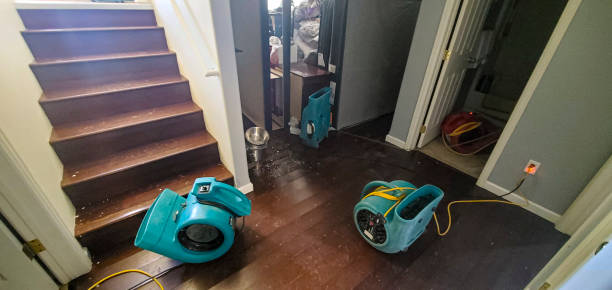 Best 24/7 water damage repair  in Leo Cedarville, IN