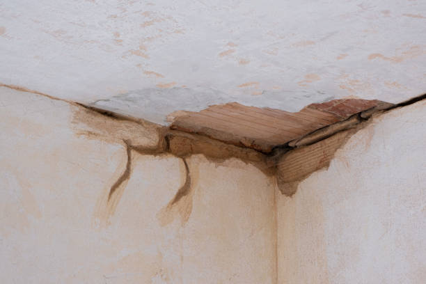 Best Ceiling water damage repair  in Leo Cedarville, IN