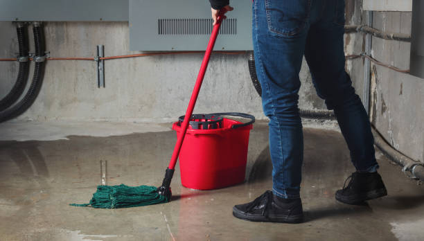 Best Commercial water damage restoration  in Leo Cedarville, IN