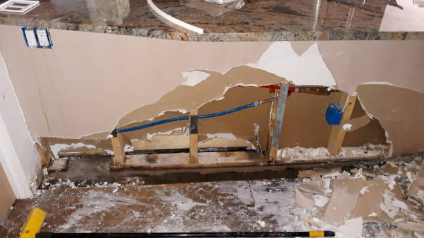 Best Professional water damage repair  in Leo Cedarville, IN