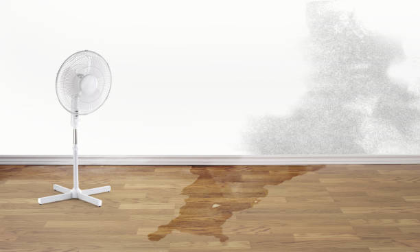 Best Emergency water damage restoration  in Leo Cedarville, IN