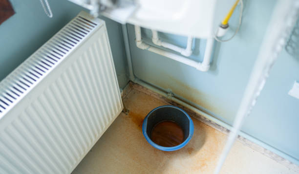 Best Water damage contractors near me  in Leo Cedarville, IN
