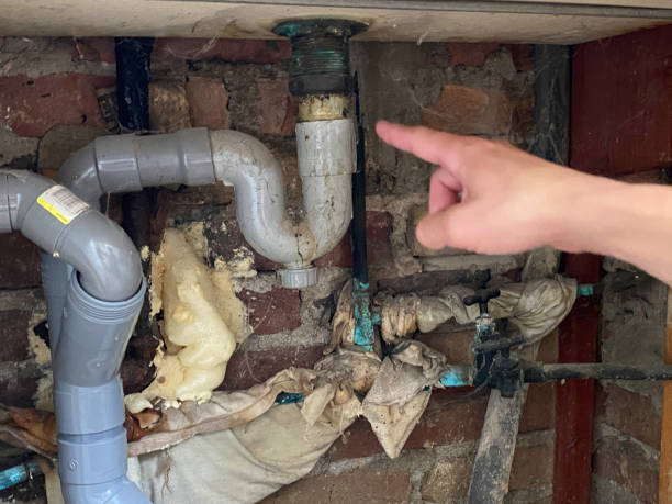 Best 24-hour water damage restoration  in Leo Cedarville, IN