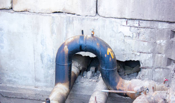 Best 24-hour water damage restoration  in Leo Cedarville, IN